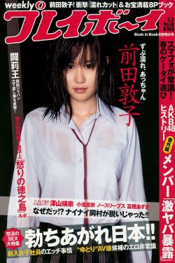 电视剧 铁梨花